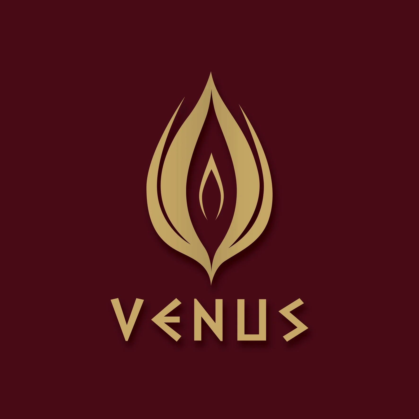 Venus Bali Logo